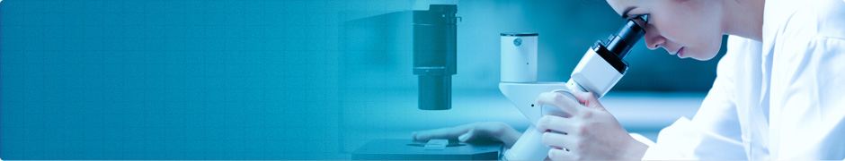 SEIKO Manufacturing (Singapore) Pte. Ltd