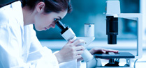 Research & Development